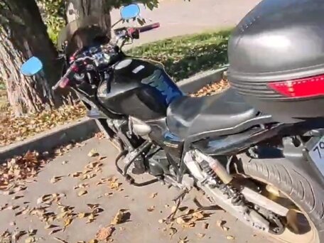 2008 Honda CB 1300, чёрный, 670000 рублей, вид 3