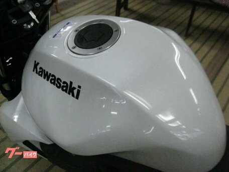 2011 Kawasaki ER-6N, белый, 470000 рублей, вид 5