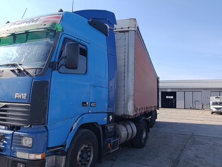 1996 Volvo FH, синий, 3500000 рублей, вид 2