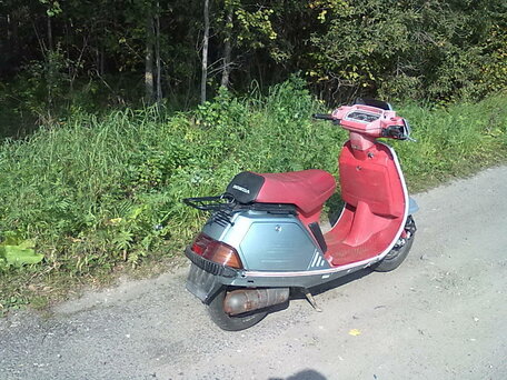 1984 Honda Lead 50, серый, 45000 рублей, вид 2