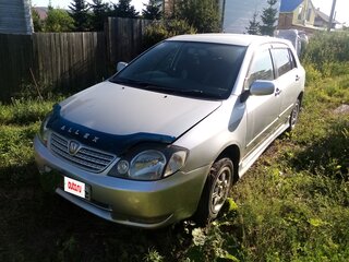 2001 Toyota Allex I, серебристый, 578000 рублей, вид 1
