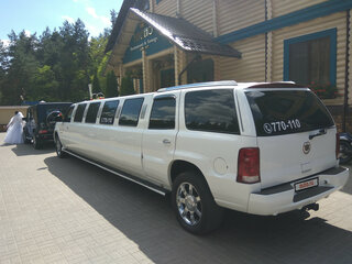 2002 Cadillac Escalade II, белый, 450000 рублей, вид 2