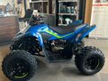 2025 CFMoto CFORCE 110, синий - вид 2