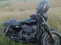 2008 Harley-Davidson Sportster 1200, чёрный