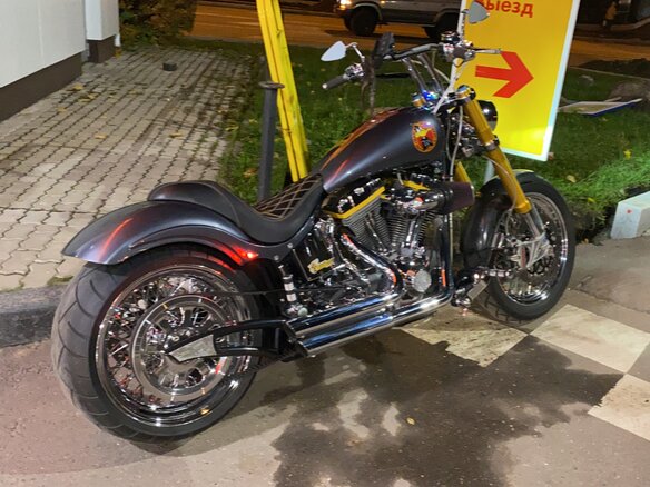 2005 Harley-Davidson Softail Custom, серый, 1200000 рублей - вид 5
