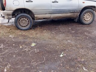 2008 Chevrolet Niva I, серебристый, 250000 рублей, вид 3