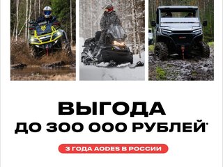 2025 AODES (Odes) Pathcross 1000, фиолетовый, 1607000 рублей, вид 2