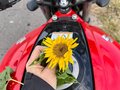 2011 Suzuki SFV 400 Gladius, красный, 475000 рублей