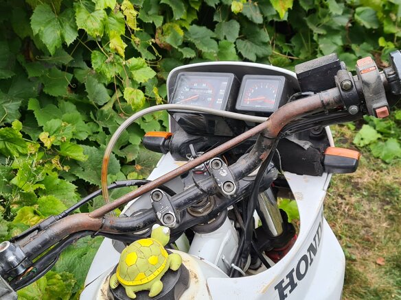 1988 Honda NX, белый, 105000 рублей - вид 5