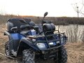 2015 Stels ATV-300, синий, 375000 рублей - вид 8
