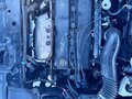 2002 Ford Focus I (North America), чёрный, 240000 рублей - вид 6