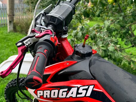 2024 Progasi Super Max 300, красный, 115000 рублей, вид 2