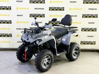 2026 Bison Hammer 200, серый, 229000 рублей, вид 1
