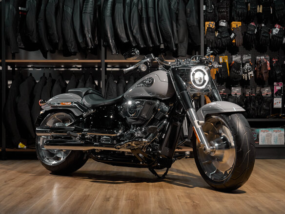 2025 Harley-Davidson Fat Boy, серый, 3300000 рублей - вид 22