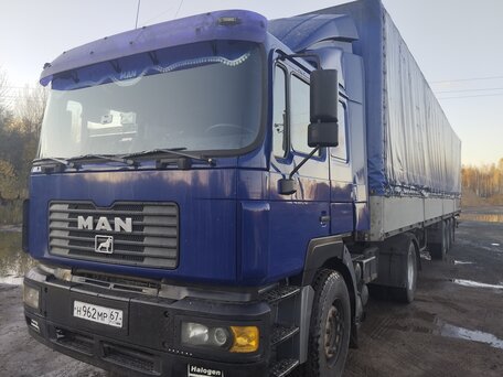1999 MAN F 2000, синий, 2500000 рублей, вид 2