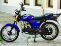 2025 Racer Alpha, синий, 75900 рублей - вид 2