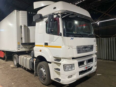 2018 КамАЗ 5490 NEO, белый, 3900000 рублей, вид 4