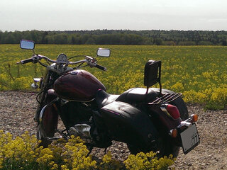 2002 Honda VT 1100, пурпурный, 350000 рублей, вид 2