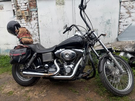 2004 Harley-Davidson Dyna Wide Glide, чёрный, 730000 рублей, вид 2