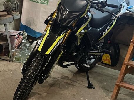 2024 Motoland Enduro 300, зелёный, 185000 рублей, вид 1