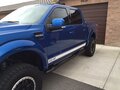 2015 Ford F-150 XII, синий - вид 4