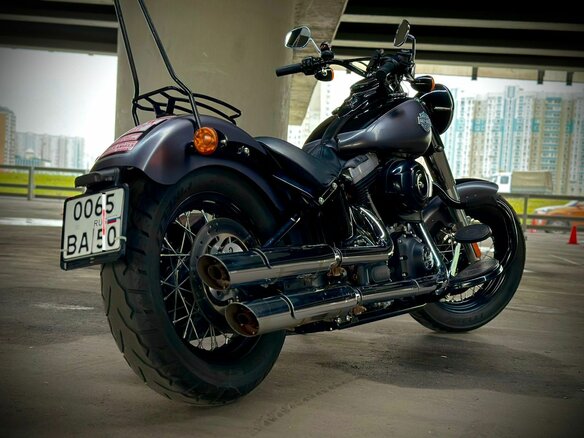 2014 Harley-Davidson Softail Slim, серый, 950000 рублей - вид 15