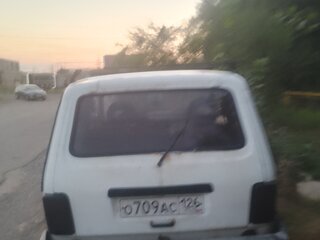 1996 Lada (ВАЗ) 2121 (4x4) I Рестайлинг, белый, 175000 рублей, вид 2
