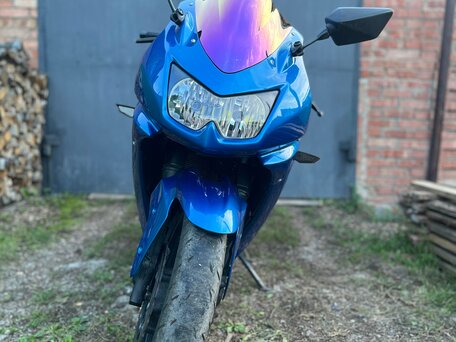2010 Kawasaki Ninja 250R, синий, 270000 рублей, вид 1