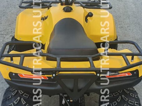 2026 Irbis ATV 200U, жёлтый, 235196 рублей, вид 4