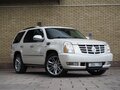 2010 Cadillac Escalade III, белый - вид 1