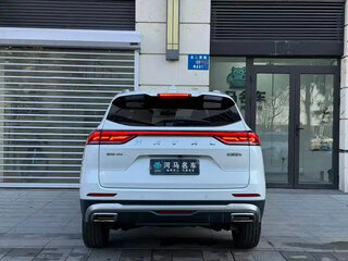 2023 Haval H6 III, белый, 1430000 рублей, вид 5