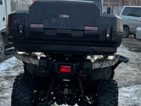 2009 Yamaha Grizzly 700, бежевый, 670000 рублей, вид 3