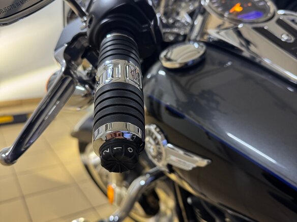 2021 Harley-Davidson Fat Boy, серый, 4000000 рублей - вид 5