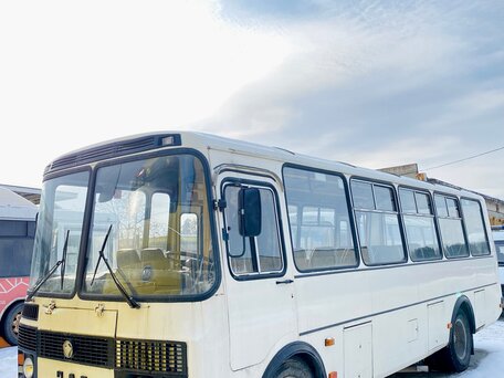 2005 ПАЗ 4234, белый, 590000 рублей, вид 2