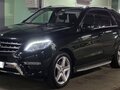 2014 Mercedes-Benz M-Класс 300 III (W166), чёрный - вид 1