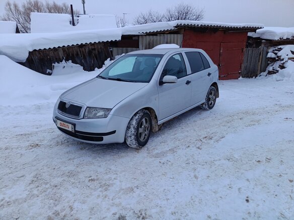 2002 Skoda Fabia I, серебристый, 320000 рублей