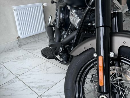 2021 Harley-Davidson Softail Slim, коричневый, 1680124 рублей, вид 4