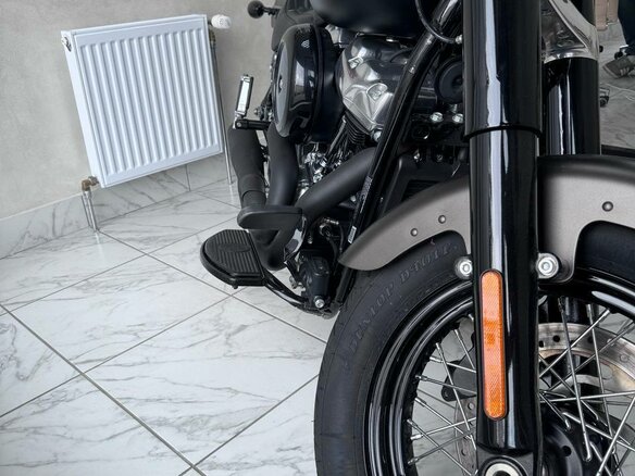 2021 Harley-Davidson Softail Slim, коричневый, 1699805 рублей - вид 3