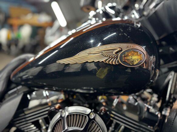 2013 Harley-Davidson Electra Glide, коричневый, 1120000 рублей - вид 31
