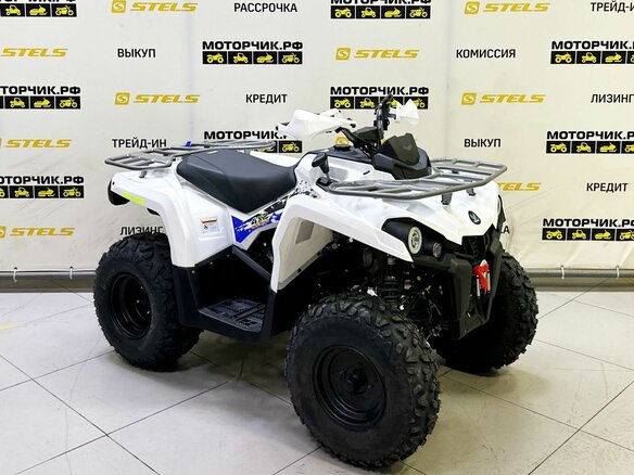 2025 Bison ATV200, белый - вид 5