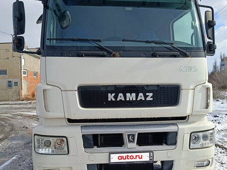 2017 КамАЗ 5490 NEO, белый, 1550000 рублей, вид 3