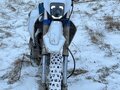 2019 Avantis Enduro 250, белый, 140000 рублей - вид 2