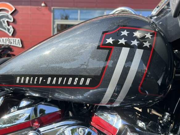 2019 Harley-Davidson CVO Road Glide, серебристый, 2900000 рублей - вид 10