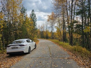 2019 Kia Stinger I, белый, 3000000 рублей, вид 4