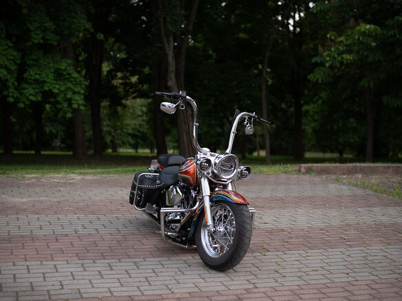 2004 Harley-Davidson Softail Custom, красный, 1188668 рублей - вид 9