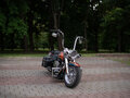 2004 Harley-Davidson Softail Custom, красный, 1188668 рублей - вид 9