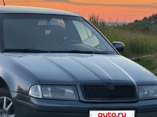 2005 Skoda Octavia I (A4) Рестайлинг, серый, 320000 рублей, вид 3
