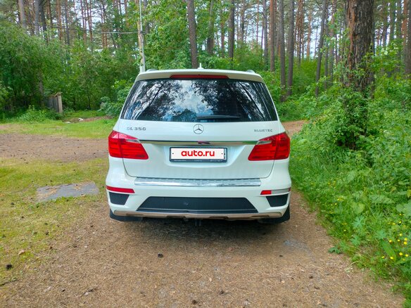 2013 Mercedes-Benz GL-Класс 350 II (X166), белый, 2750000 рублей - вид 11