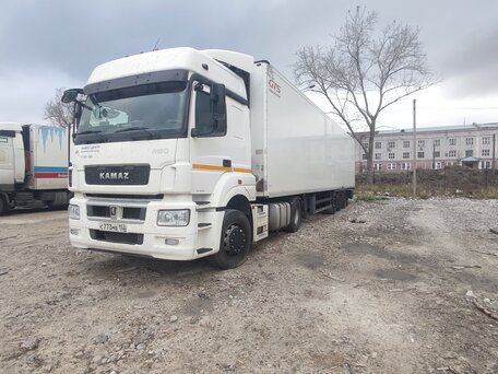 2019 КамАЗ 5490, белый, 3600000 рублей, вид 3