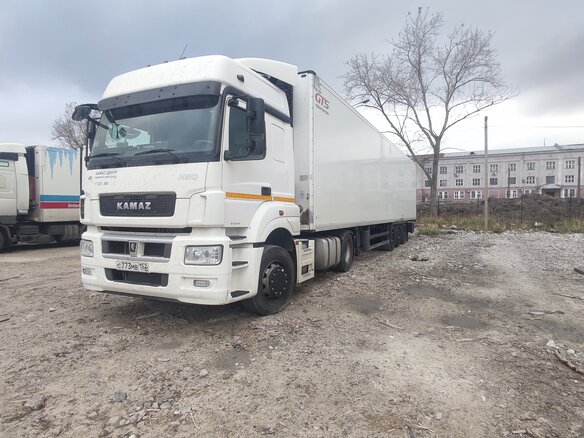 2019 КамАЗ 5490, белый, 3600000 рублей - вид 2